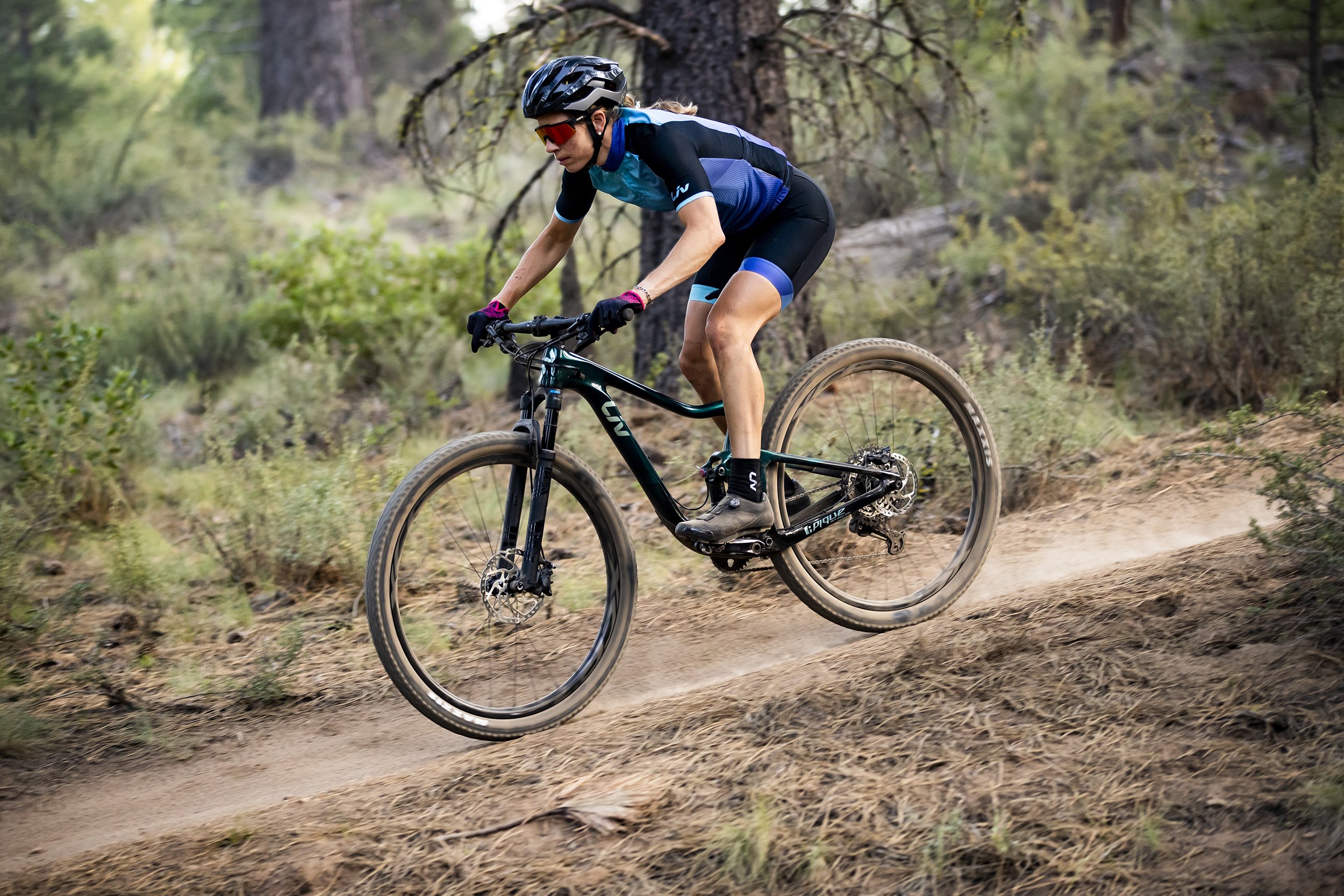 Bikes from our manufacturers Cannondale, Giant, and Surly.
